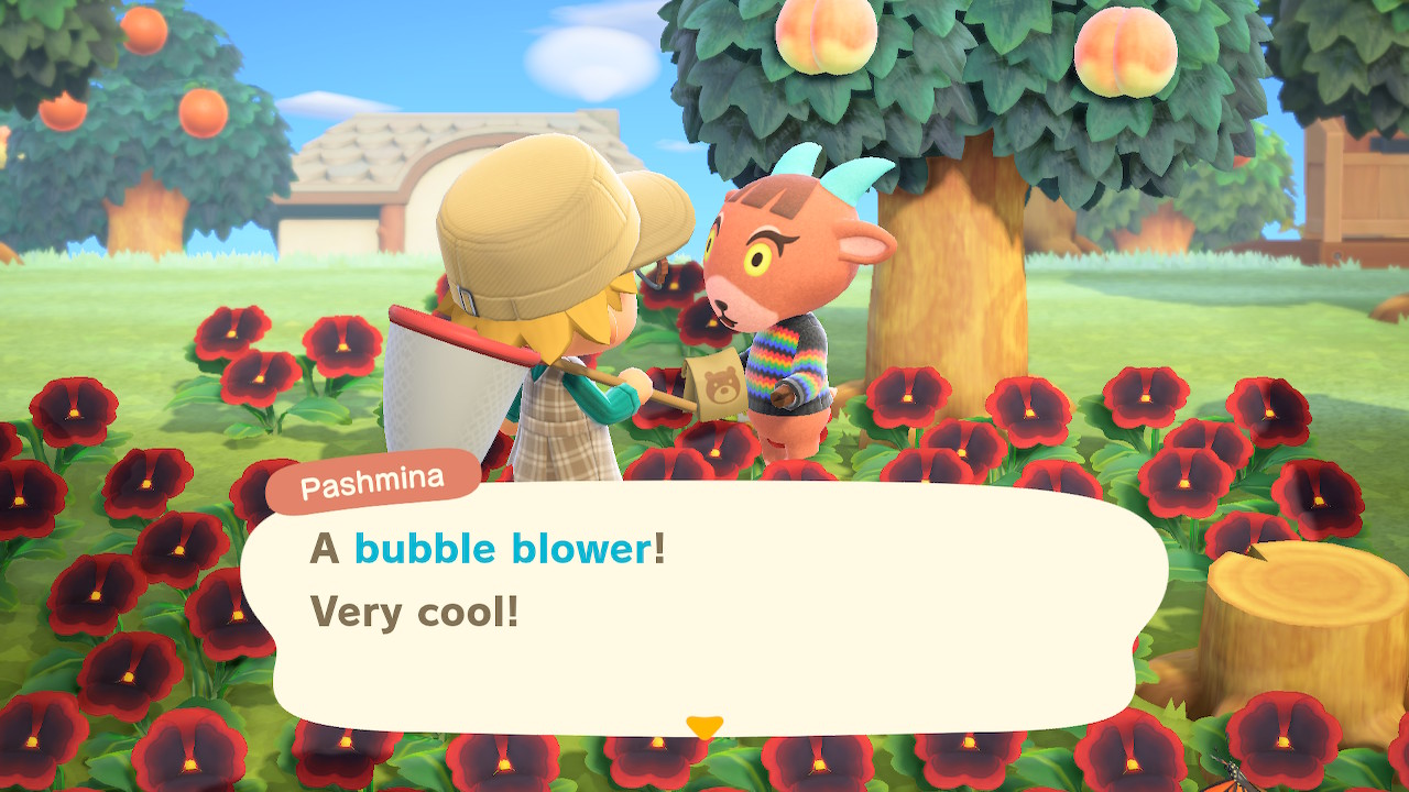 The original screenshot.  "A bubble blower!  Very cool!" says Pashmina.